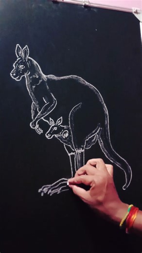 How to Easy draw Kangaroo 🦘🦘 #viral #kangaroo #drawing