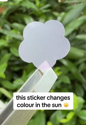 Replying to @meexplumbob This sticker changes colour in the sun and reminds you when it’s time to reapply your SPF ☀️👀 When it turns dark purple, you’re exposed to damaging UV. Apply sunscreen on top and it fades clear - meaning you’re protected. As your sunscreen wears off, it slowly turns dark purple again to remind you to reapply. Perfect for anyone (or kids) who forget to reapply sunscreen. Available at @BIG W Australia or online at quickflick.com