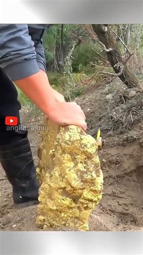 Kota Emas di Hutan? Misteri El Dorado di Amazon!#misteridunia #kotaemas #eldorado