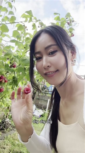 One raspberry bush😂😅 #life #healthy | Healthy Living