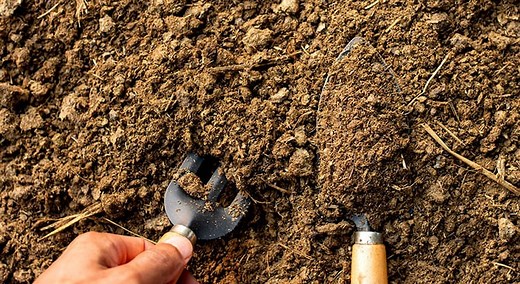 6 conseils pour utiliser le fumier de cheval au jardin