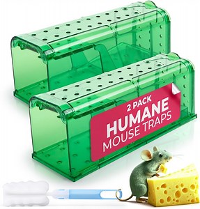 Humane Mouse Trap Pack of 2 - Live Mouse Traps Catch and Release Trap for Indoor and Outdoor Use - Reusable Mouse Traps, Safe & Effective No Kill Mouse Traps - Mouse Traps Catch and Release (Green)