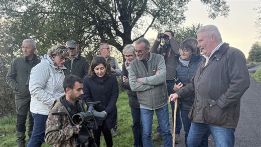 VIDÉO. "Il est victime de son succès" : le brame du cerf, un rendez-vous trop prisé du public qui peut perturber le "cycle de vie" des cervidés
