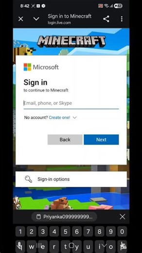 Minecraft Sign In