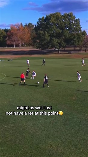 Fouls in Soccer: The Referee Dilemma