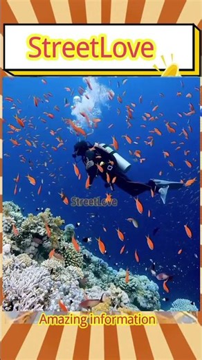 The Most Unusual Animals in the World | Nature Secrets #amazing #animals #dangerousanimals