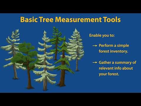 Tree measurement tools