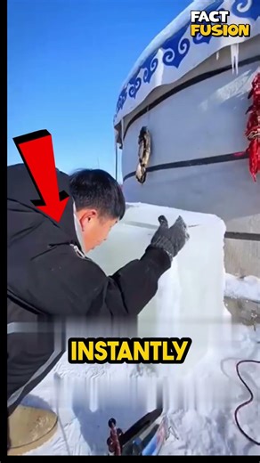 The Ice Box Survival Trick That Beats Freezing Nature 🧊❄️