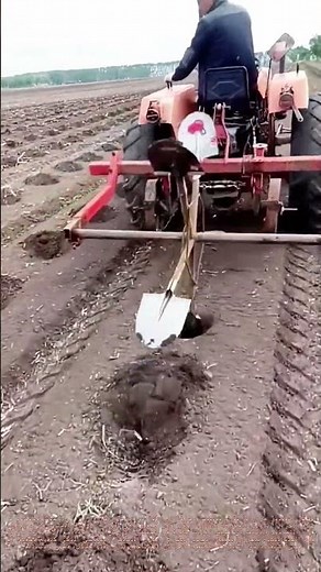 Steel Straightening: How This Machine Flattens Metal Like Magic