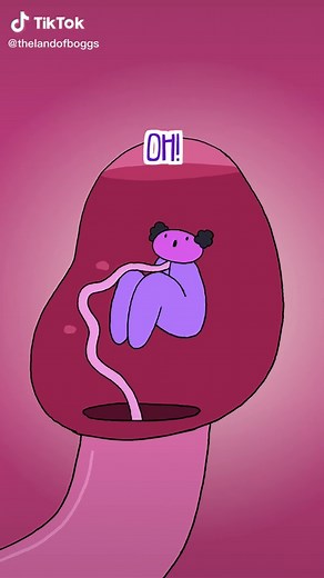 Best Zodiac Signs Compatible with Capricorn Revealed