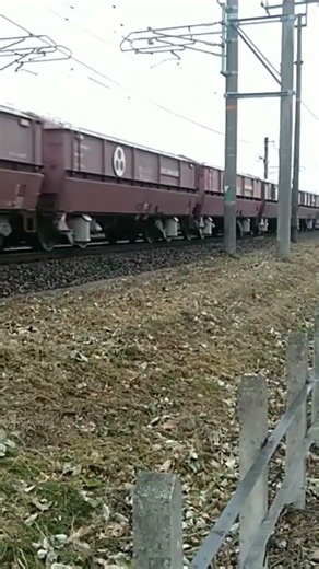 東海道本線 稲沢〜尾張一宮 貨物列車 ホキ 2026年６月 6:26
