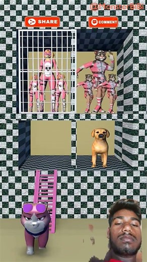 Let's dance! Boss, let's feel the beat together 🎶🐶🐱