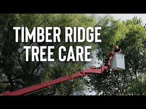 Stories from the Field: Timber Ridge Tree Care