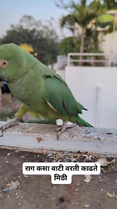 120K views · 6.9K reactions | Neeta Kumbhar on Reels | Facebook