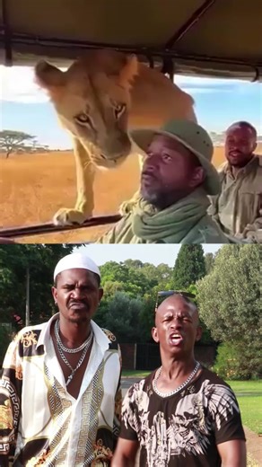 Sdudula-Ziyahlala - Uniting Cultures Through Music