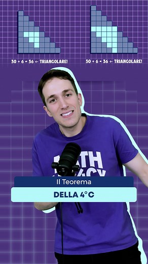 Math Legacy on Instagram: "Questo teorema è stato scoperto da una 4a elementare 🤩 #matematica #teorema #scuola #scuolaitaliana"