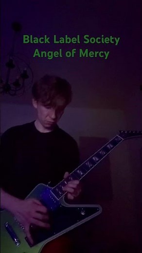 🔥Love this solo! Black Label Society - Angel of Mercy 😍