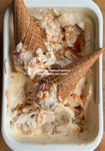No‑Churn Caramelized Apricot & Cookie Butter Ice Cream