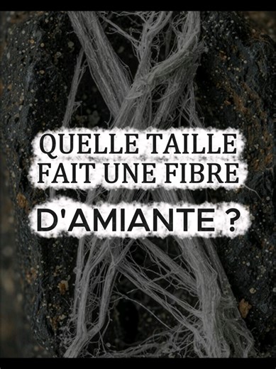 Taille des fibres d'amiante : Comparaison avec un cheveu