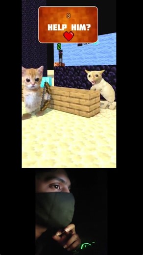 Minecraft how i react on help the cat#minecraft #shorts #trending