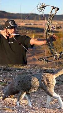 Ultraview button 2 testing #archery #bowhunting #3darchery