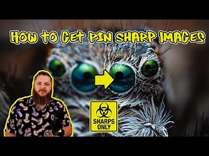 How To Get Pin Sharp Images | Photography Post Processing Tutorial