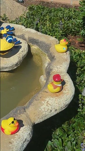 The House with the Ducks, Too Cool for School edition