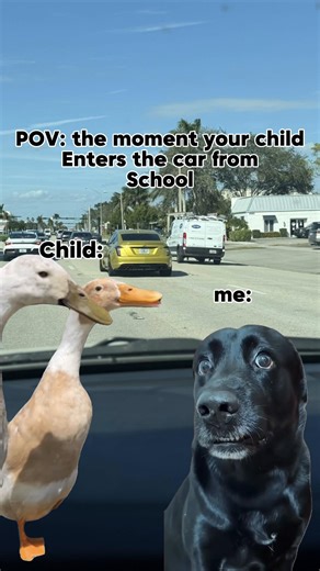 Funny Moments of Talking All Day