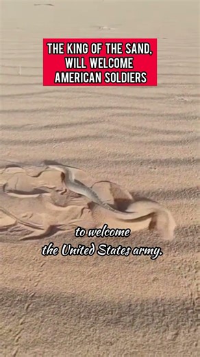 Desert snakes of the Iranian army will welcome American troops