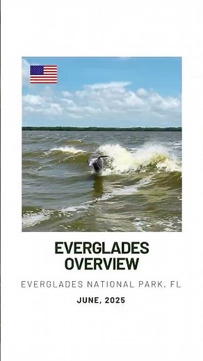 Everglades National Park Overview 🐬 🐊 🌊