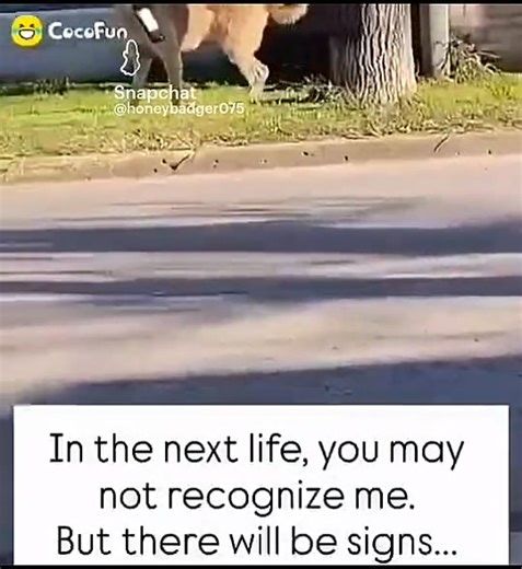 Bobby Pack (@bobby.pack)’s videos with original sound - Bobby Pack