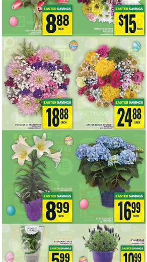 Food Basics weekly flyer / circulaire Apr 02 - Apr 08