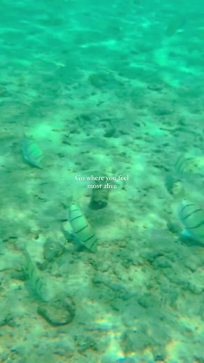 Guam Travel Blog on TikTok