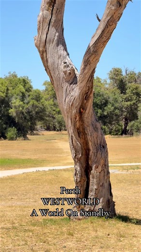 Exploring Perth: A Sci-Fi Lover's Paradise