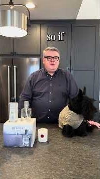 Lampe Berger & The Power of Scent at Home | Harrison West