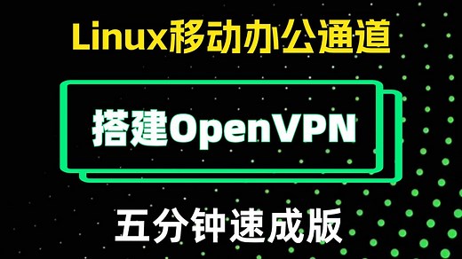 【Linux实战教程】五分钟搭建OpenVPN服务器，完整过程讲解，全程干货无废话！