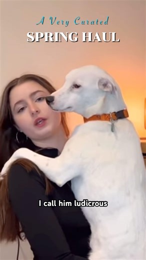 My puppy joins me for a curated haul. #relatable #relatablememes #anxiety #anxietyattack