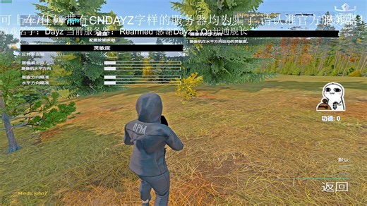 Dayz最详细的画面与游戏设置 不看后悔一辈子