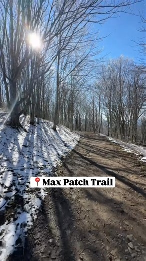"The crown jewel of the Appalachian Trail" 🌄 About 50 miles from Asheville, Max Patch is a 1.5-mile loop across a grassy mountain bald where the Appalachian Trail meets 360° views in every direction. On clear days, Mount Mitchell rises to the east and the Great Smokies line the horizon to the west. Pet-friendly, open year-round, and ideal for picnics, quiet moments, or a crisp winter reset. More trail details through the link in our comments🔗 --- 🎥: Discover The Carolinas | Visit Asheville
