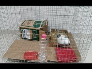 How to make a cage using welded wire mesh and wire, for birds, rabbits, etc.
