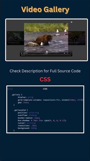 Build a Clean Video Gallery Popup with HTML CSS JavaScript | Frontend UI Trick