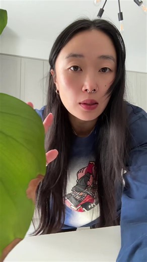 Alex Pretti died after being shot by ICE officers. #minneapolis #ice #alexpretti