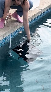 19K views · 23 reactions | do this if your computer gets wet #technologysolutions #tipsandhacks #techgeek This video was created by Network Media, Drama Club, and Marissa M. | Drama Club: Backstage Pass | Facebook