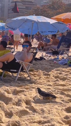 Beach Beyond on Reels