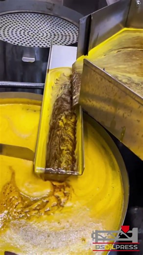 Hot Pressed Rapeseed Oil Test Video from Dingsheng Machine