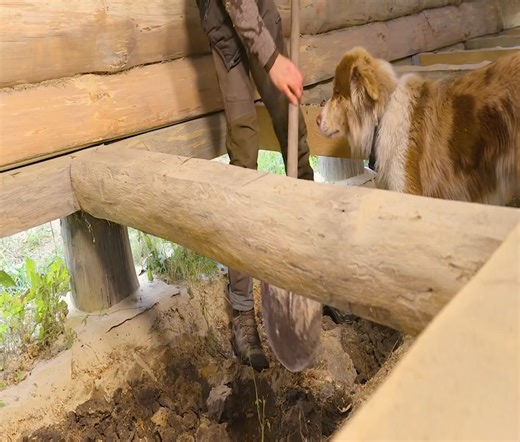 Winter is approaching - living in a log cabin alone in the wilderness. | Alone with nature