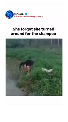 𝙒𝙝𝙖𝙩➍𝙪 on Instagram: "Muscle memory is a dangerous game when you’re running on autopilot. It’s that terrifying moment your brain lags behind your surroundings, leaving you to face the consequences of a glitch in reality. We’ve all been one wrong turn away from a total system failure. Tag a friend who would definitely survive 5 seconds in the wild before this happens. #MuscleMemory #BrainLag #FailVideo #RelatableMoments #NatureFails"