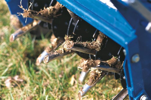 When Should You Aerate Your Lawn? Hint: It's Not the Same for All Grass Types