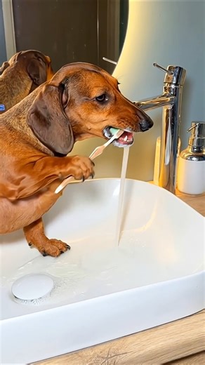 When Sonu forgot to turn off the tap #youtubeshorts #viralshort