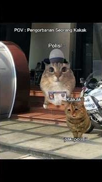Untung polisinya baik #short #fyp #memes #memecat #memekucing #fypage